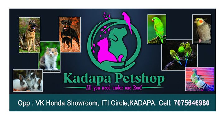 Kadapa Petshop - All you need under one Roof