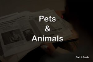 Pets & Animals